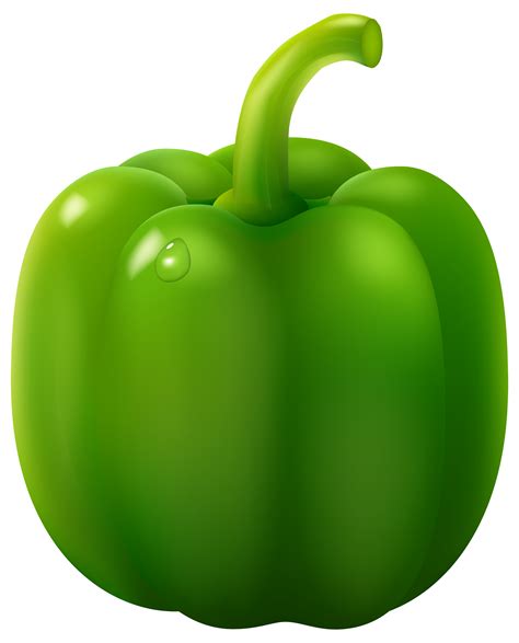 green pepper clipart